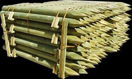 113998554_3_644x461_stalpi-tarusi-si-spalieri-impregnati-diferite-grosimi-si-lungimi-materiale-constructii-si-amenajari